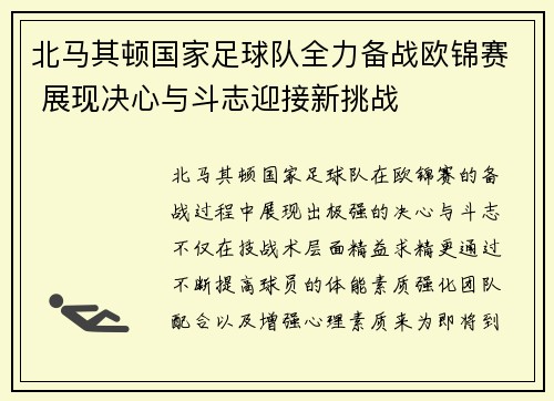 北马其顿国家足球队全力备战欧锦赛 展现决心与斗志迎接新挑战