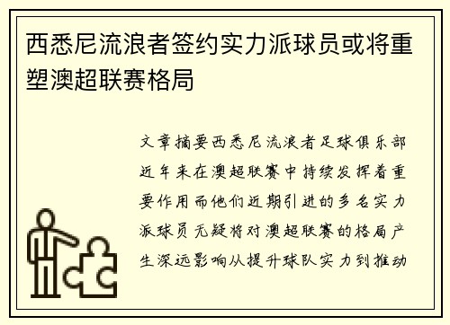 西悉尼流浪者签约实力派球员或将重塑澳超联赛格局
