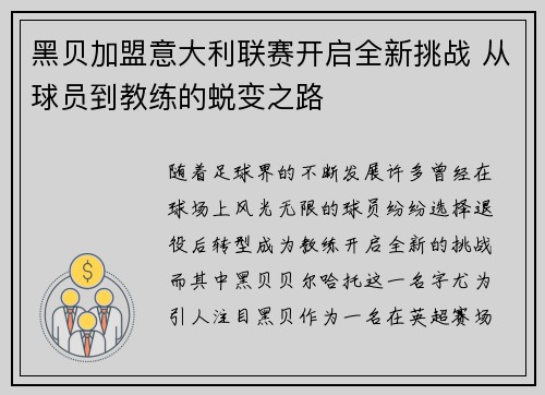 黑贝加盟意大利联赛开启全新挑战 从球员到教练的蜕变之路