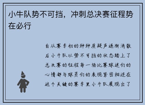 小牛队势不可挡，冲刺总决赛征程势在必行