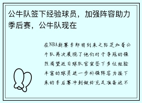 公牛队签下经验球员，加强阵容助力季后赛，公牛队现在