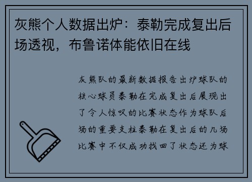 灰熊个人数据出炉：泰勒完成复出后场透视，布鲁诺体能依旧在线