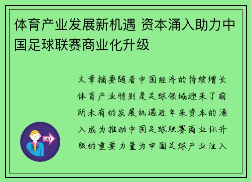 体育产业发展新机遇 资本涌入助力中国足球联赛商业化升级